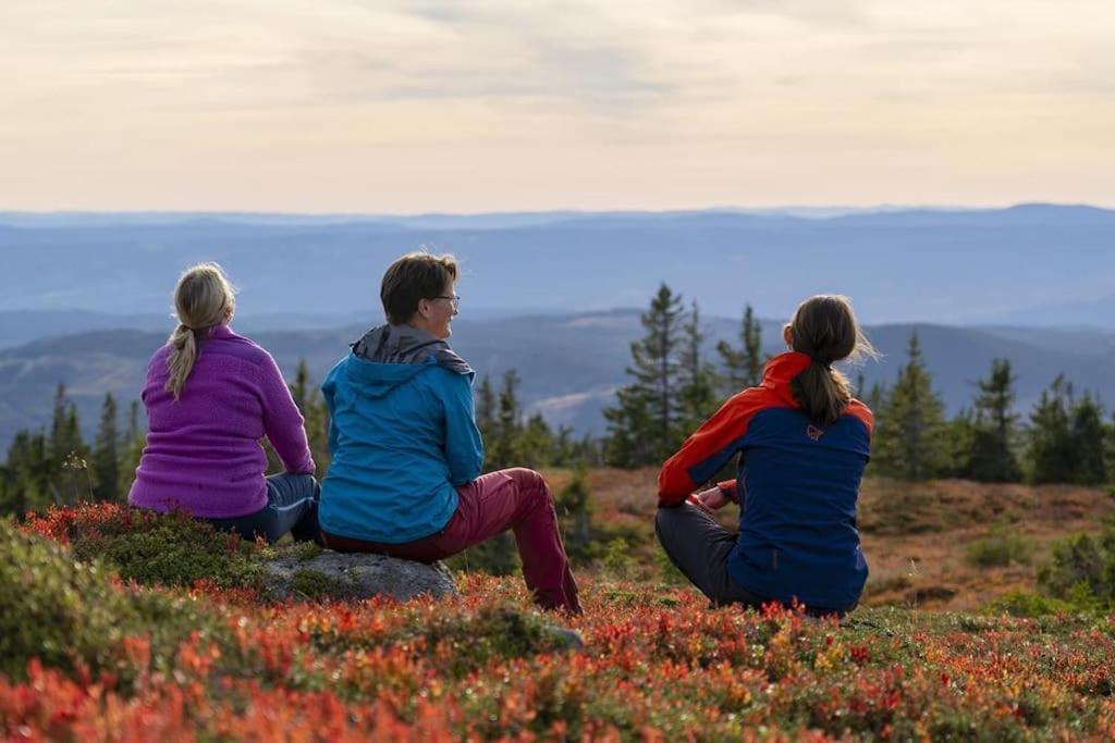 Beautiful Penthouse With Panoramic View At Sjusjoen Apartman Kültér fotó